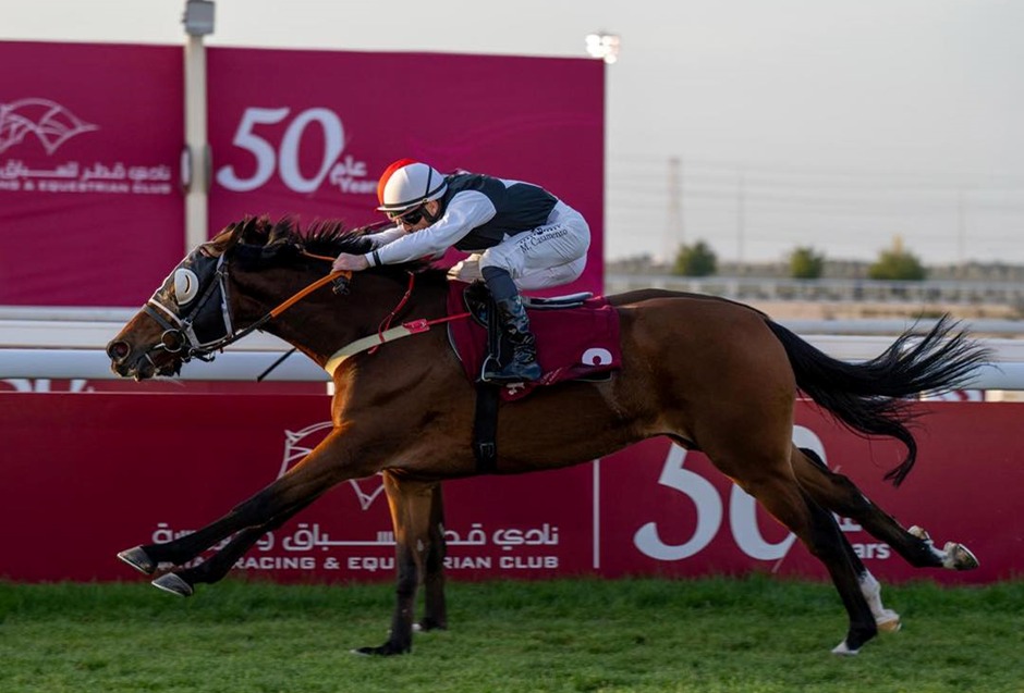 Qatar Racecards 7 February Al Uqda Arabian racing