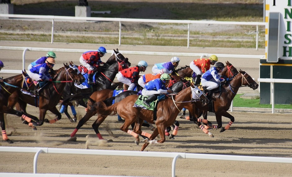 Philippine Racecards 13 February at Philippine Jockey Club under lights