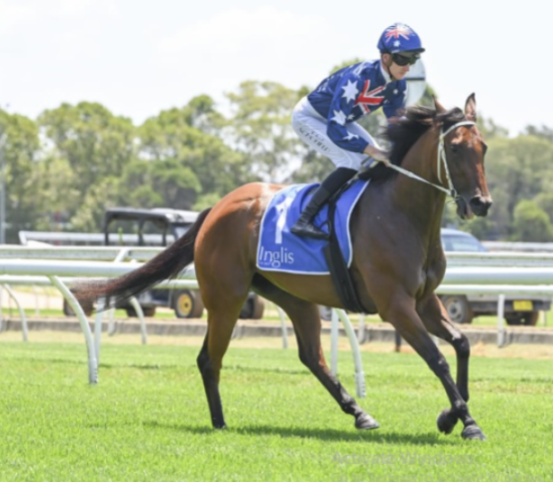 Australia race cards 20 february at Canterbury Park under lights