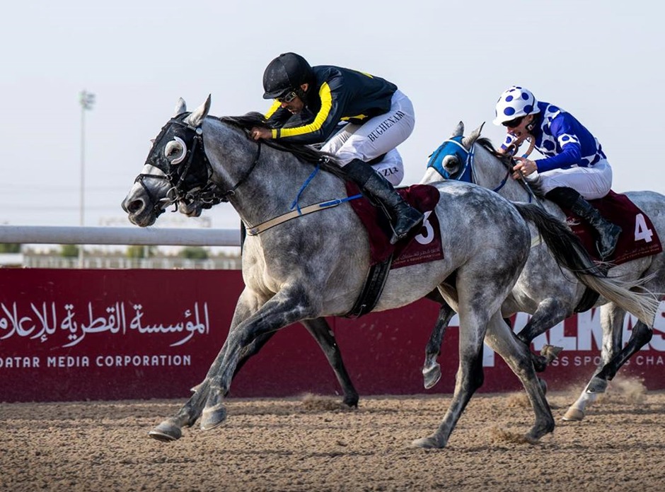 Qatar Racecards 13 February at 50th H.H. The Amir Sword Festival