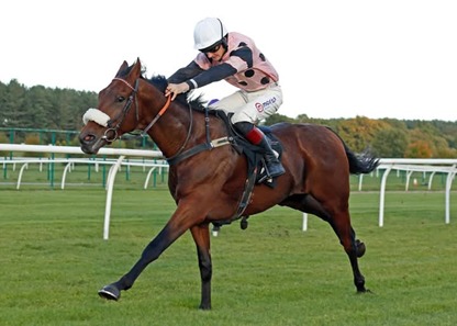 Market Rasen Race Cards 17 February meeting preview