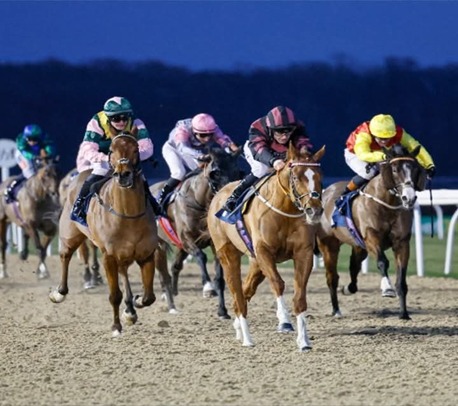 Newcastle Race Cards 4 February