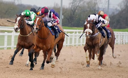Southwell Race Cards 11 February horse racing action
