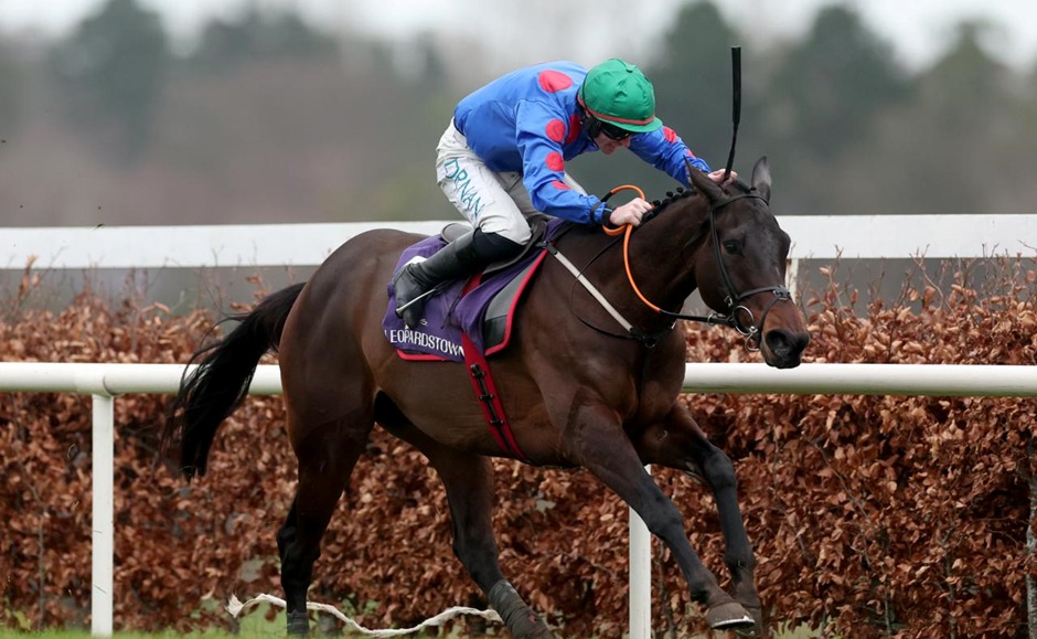 Leopardstown Racecards 1 February at the Dublin Racing Festival