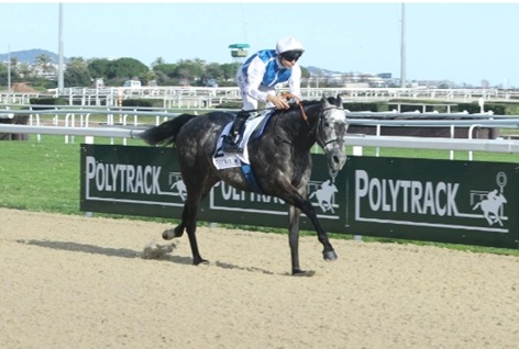 Toulouse Race Cards 17 February race meeting overview