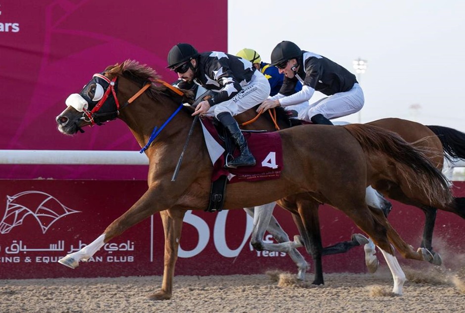 Qatar Racecards 11 February at Al Rayyan Racecourse