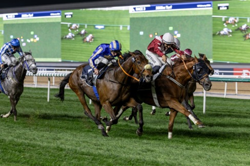Horses racing at Meydan Racecourse during the 13 February meeting – Meydan Race Results 13 February