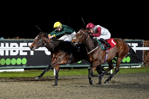 Kempton Park racecourse hosting National Hunt racing meeting