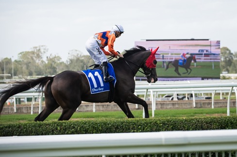 Warwick Race Cards 18 February midweek race lineup at Warwick Farm