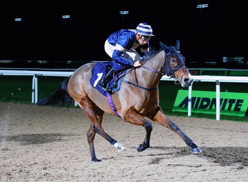 Runners compete during National Hunt racing at Southwell Race Cards 2 February