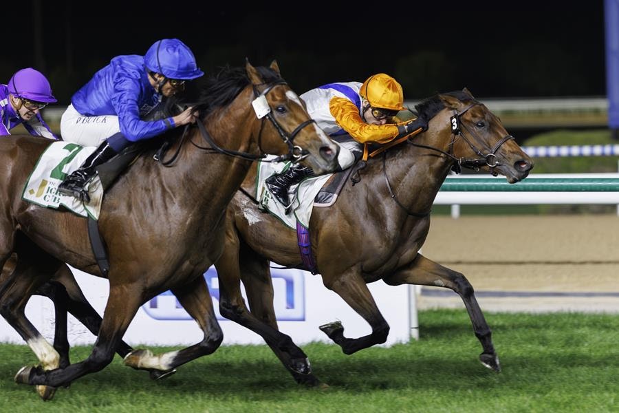Dubai Racing Carnival action at Meydan Racecourse under lights
