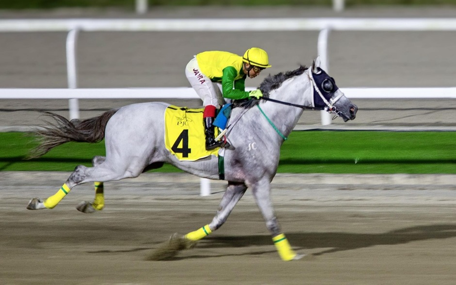 Philippine Racecards 14 February at Philippine Jockey Club Valentines Race Day