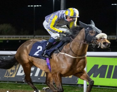 Wolverhampton Racecourse evening Wolverhampton Race Cards 2 February