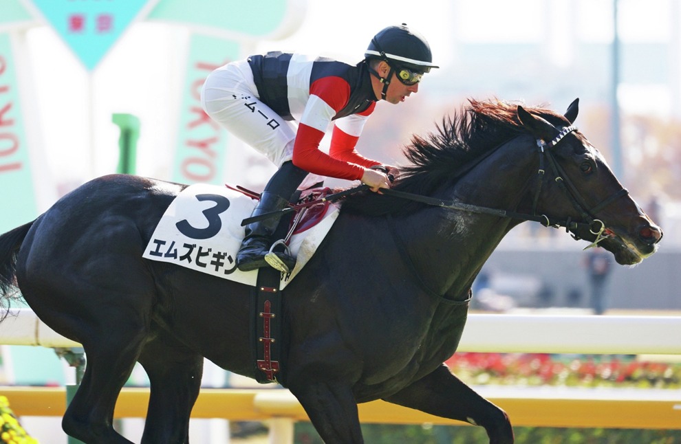 Tokyo Race Results 10 February at Tokyo Racecourse