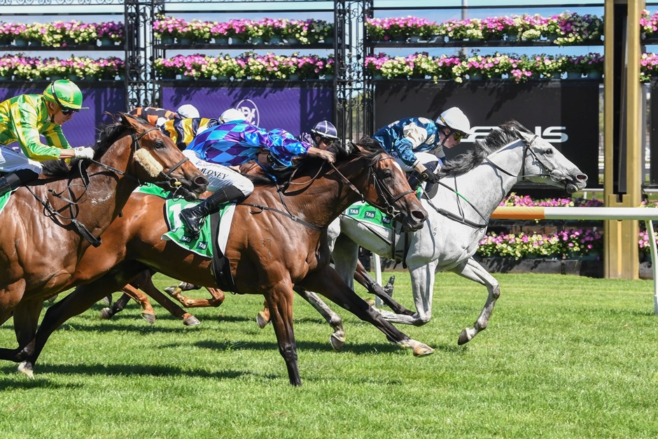 Flemington Racecards 14 February at Flemington Racecourse