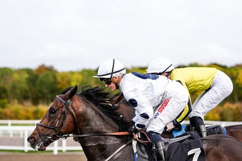 Floodlit evening racing at Chelmsford City Racecourse – Chelmsford Race Cards 21 February