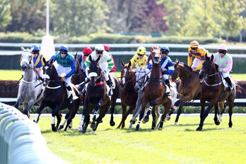 Runners competing at Chantilly Racecourse ahead of 5 February meeting