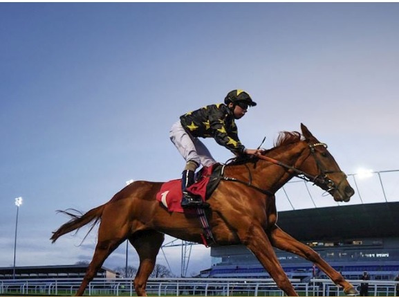 Kempton Park racecards 18 February evening racing under floodlights