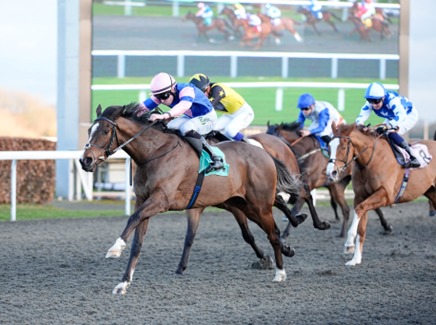 Kempton Park Race Cards 21 February seven-race Saturday fixture