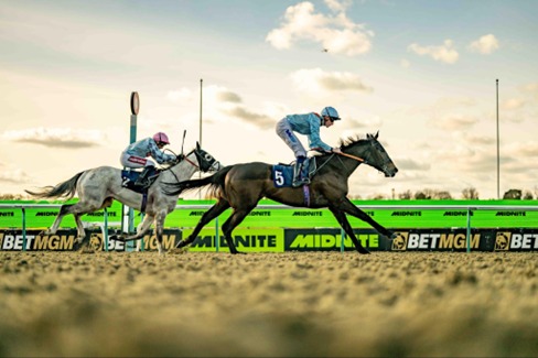 Lingfield Park Race Cards 21 February seven-race all-weather meeting preview