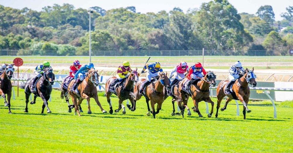 Belmont Race Results 11 February featuring Gangster Goddess at Perth Racing