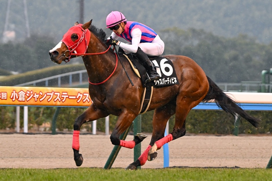 Tokyo Race Results 14 February featuring Dream Core winning the Daily Hai Queen Cup at Tokyo Racecourse