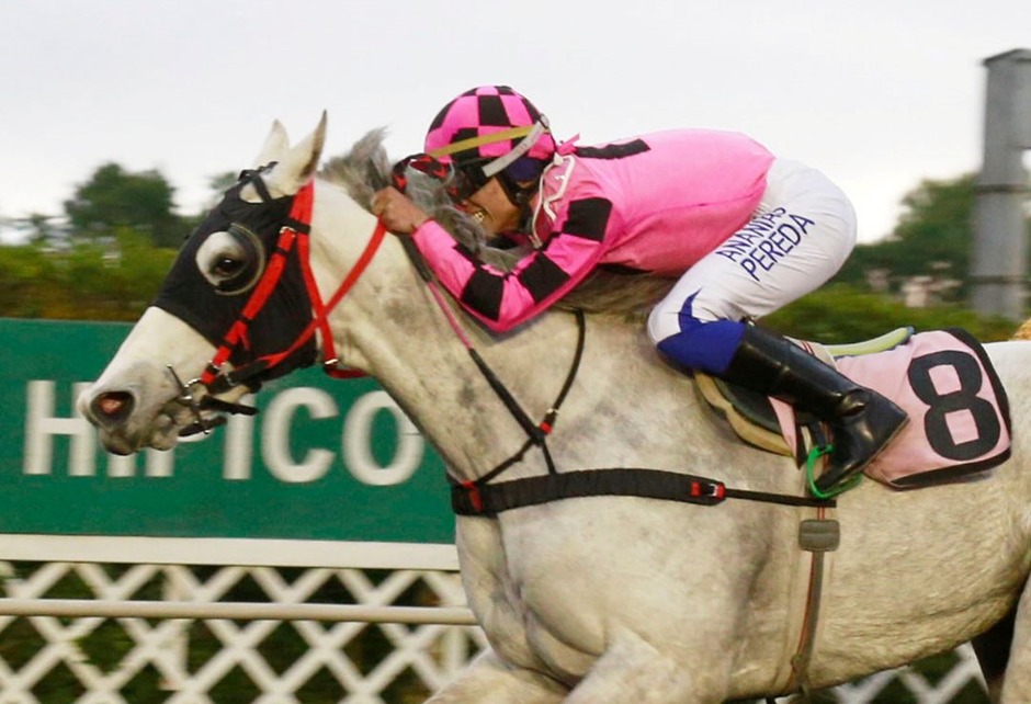 Concepción Racecards 3 February feature Golpeada and top sprint races