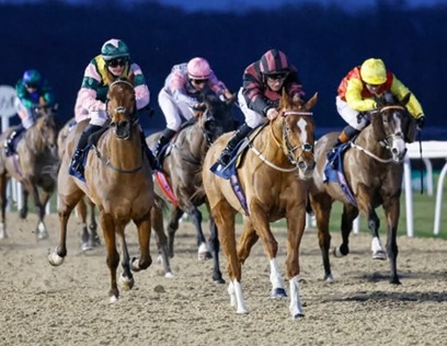 Newcastle Race Cards 19 February nine-race programme preview