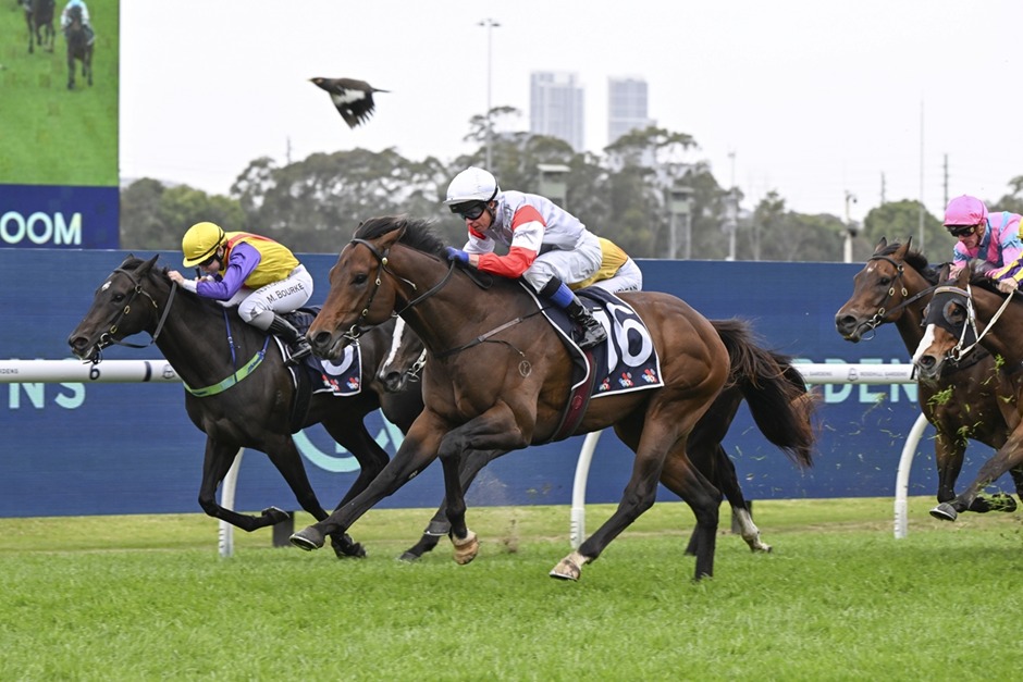 Warwick Farm Race Results 4 February midweek racing action