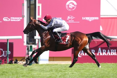 Horses lined up at Chantilly Race Cards 19 February races