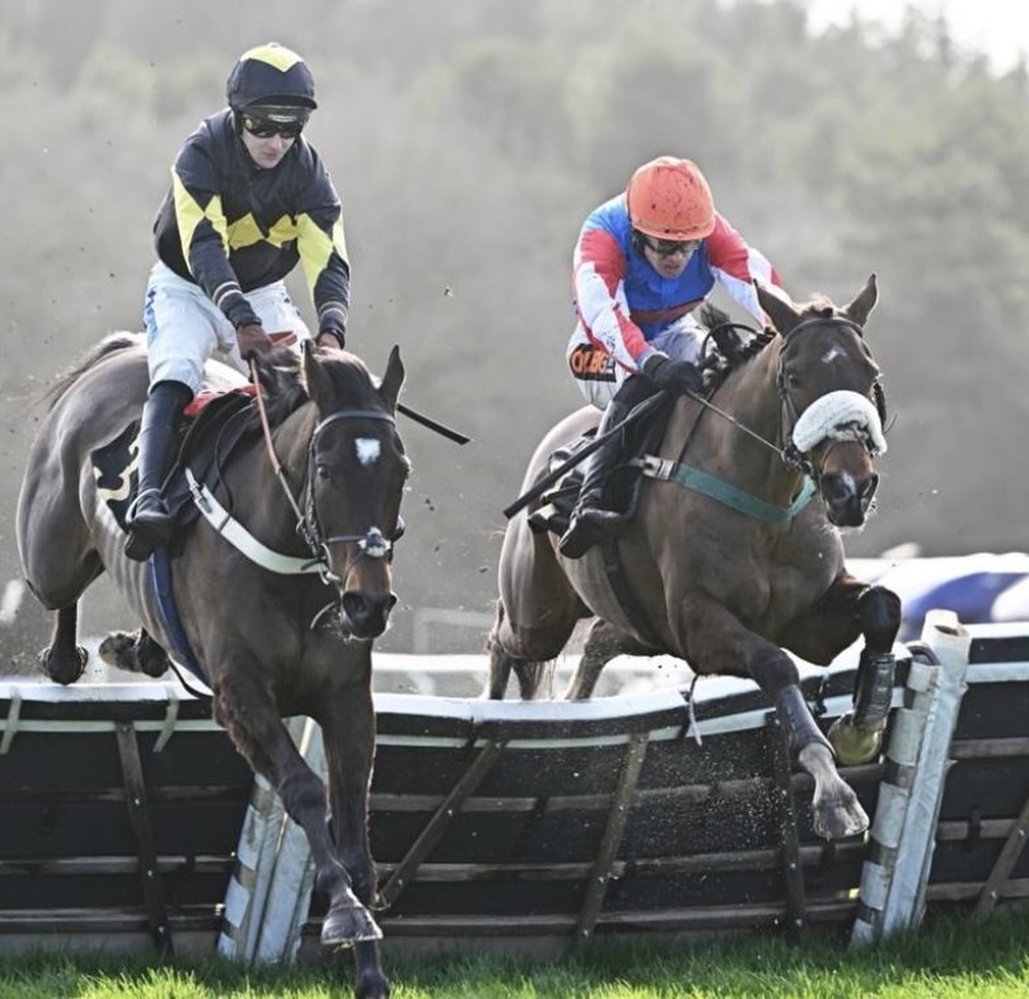 Exeter Race result 20 February – Blue Las wins Mares’ Steeple Chase