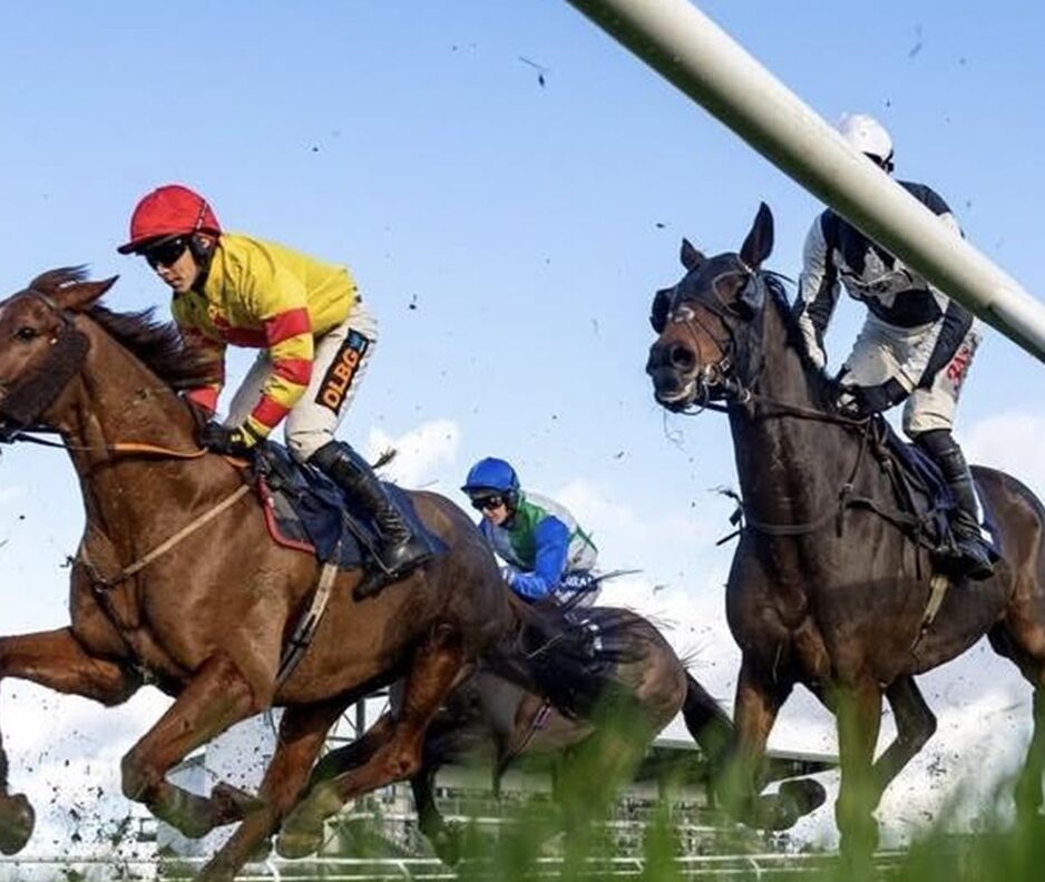 Ffos Las racecards 20 February featuring seven-race National Hunt programme