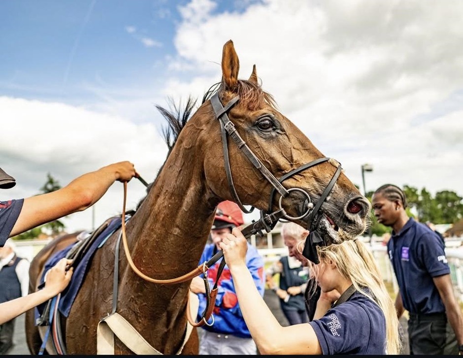 Fontwell Park race cards 22 February featuring National Spirit Hurdle contenders