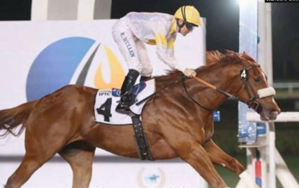 Al Ain Race Results 8 February meeting action at Al Ain Racecourse