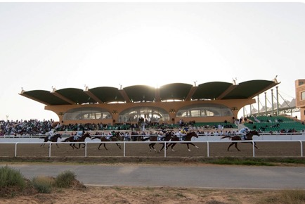 Al Ain Race Cards 22 February ten-race preview at Al Ain racecourse
