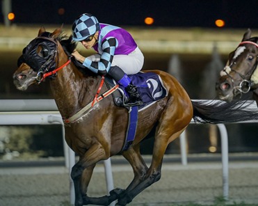 Bahrain Turf Club race meeting preview for Bahrain Race Cards 12 February