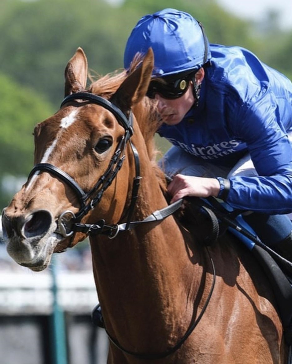 Lingfield park results 21 February featuring Sky Safari winning the Winter Derby Stakes