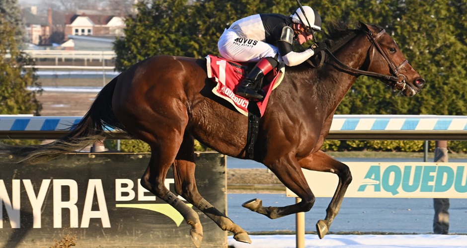Aqueduct Racecards 6 February NYRA winter stakes action