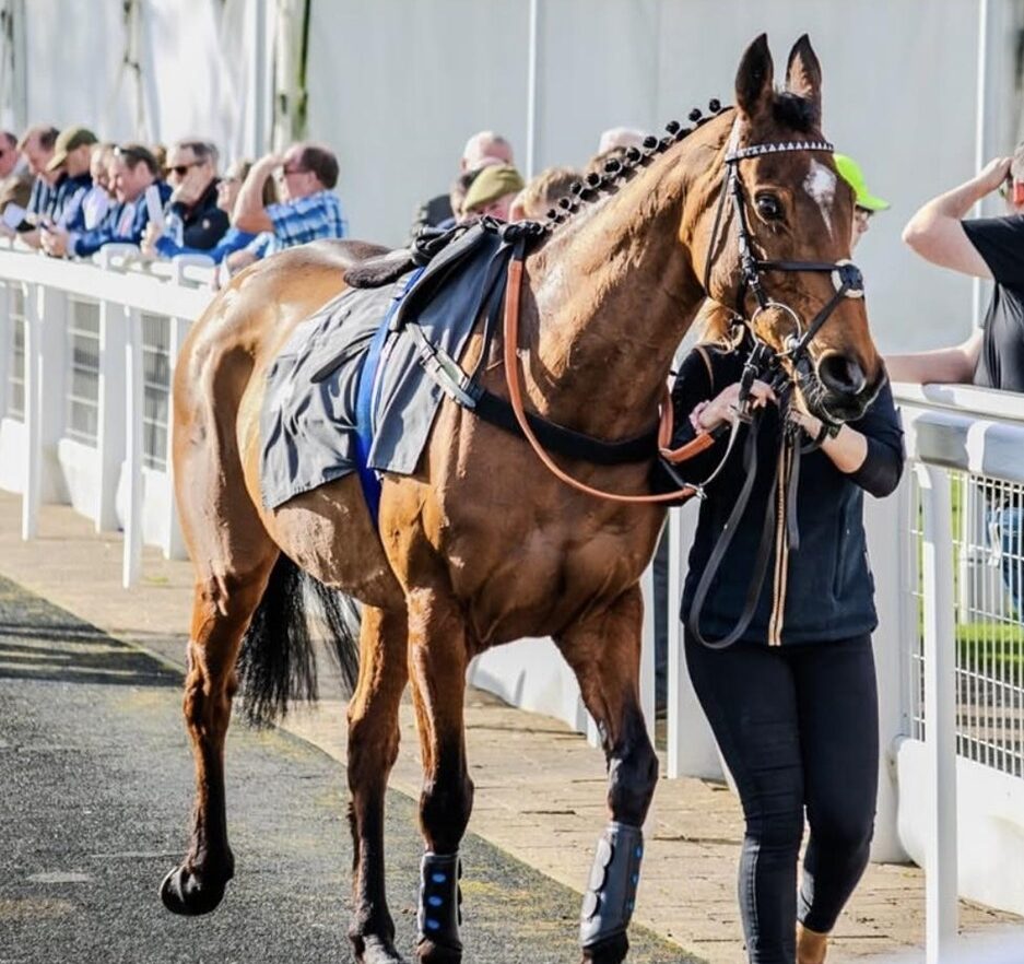Ayr racecards 23 February runners competing at Ayr Racecourse