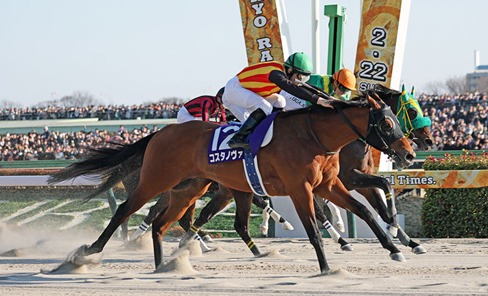 Tokyo Race Results 22 February race action at Tokyo Racecourse