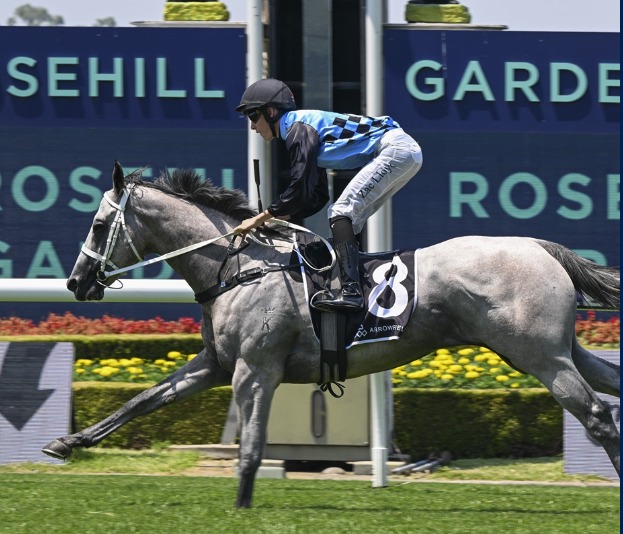 Australia racecards 25 February preview at Rosehill Gardens