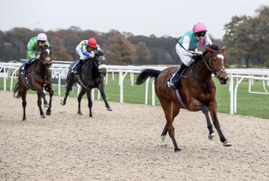 Newcastle racecards 24 February Tapeta eight-race meeting