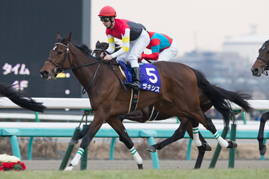 Kokura Race Results 8 February Nikkei Sho feature race