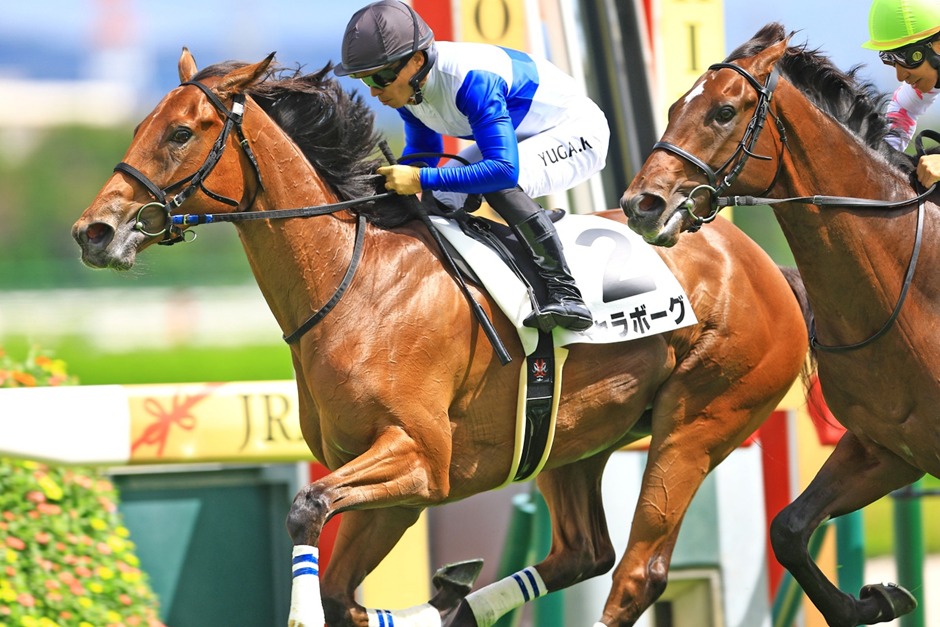 Kyoto Racecards 15 February at Kyoto Racecourse featuring Kyoto Kinen