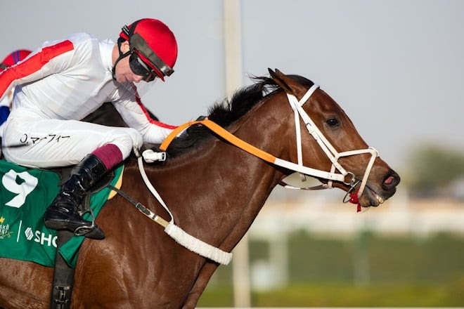 Michael Scofield winning King Abdulaziz race result 14th February