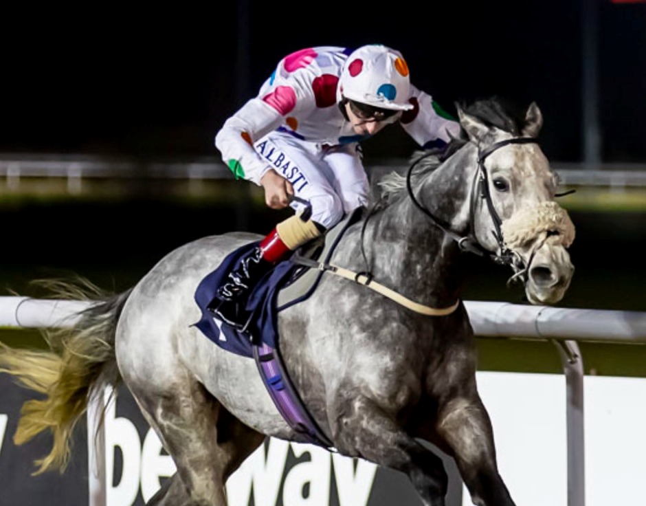 Wolverhampton Racecards 3 February under floodlights with seven-race card