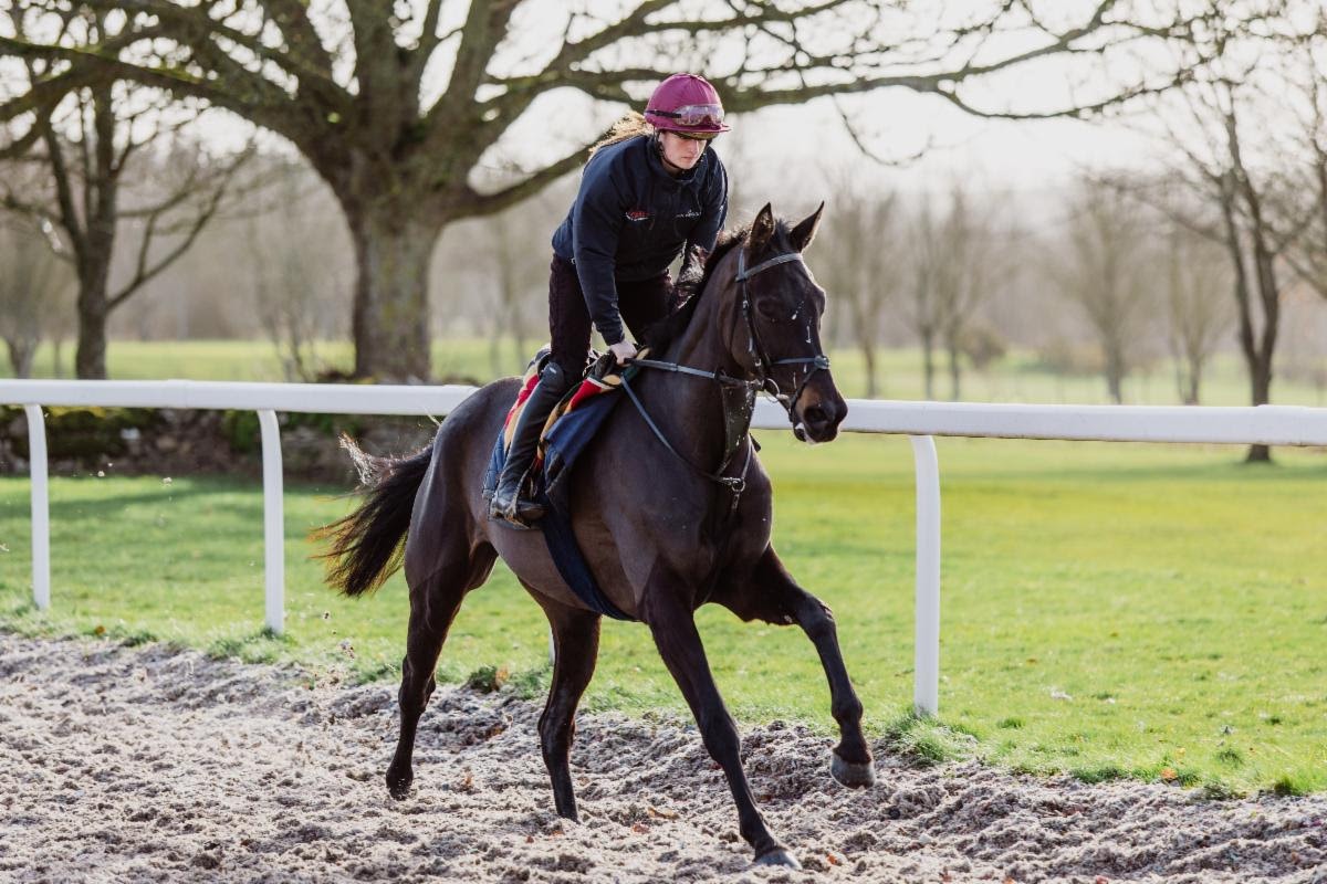 The Jukebox Man training ahead of Cheltenham Festival 2026 Gold Cup bid