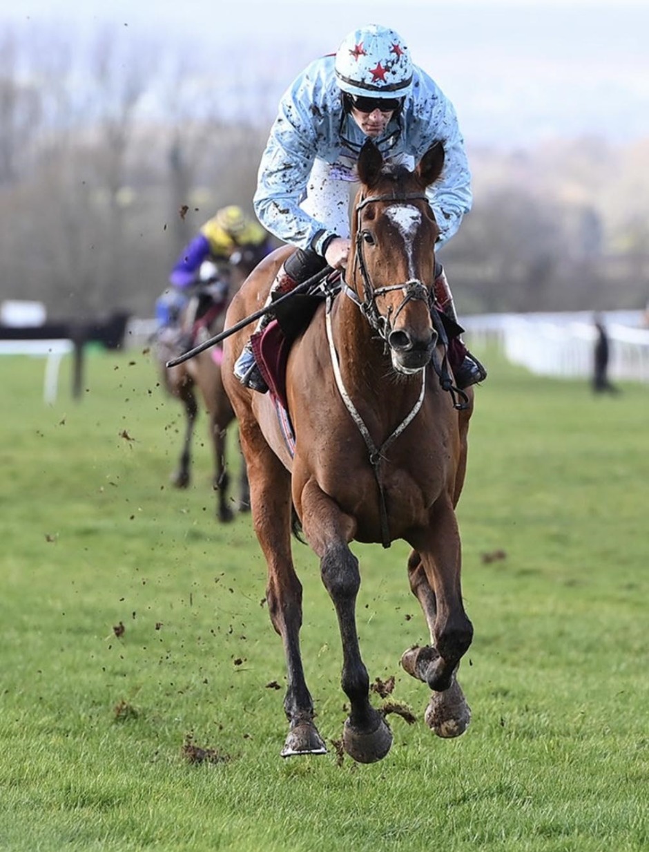Bangor on Dee racecards 25 February – Alfa Aggregates National Handicap Steeple Chase lineup