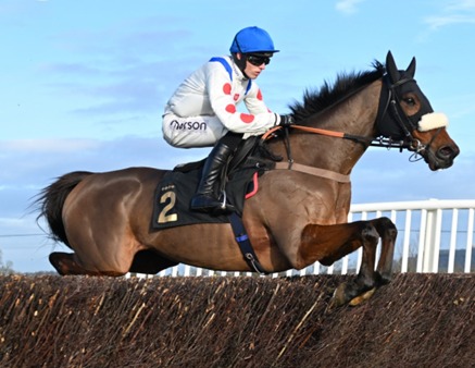 Wincanton Race Cards 25 February detailed race schedule and runner list