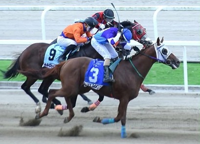 Philippine Race Cards 25 February race action at PJC – Philippine Race Cards 25 February